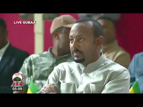 Hojii Gaggeessaa Olaanaan Hidha Haaromsaa Guddicha Itiyoophiyaa Injinar Kiflee Horroo Ergaa Dabarsan