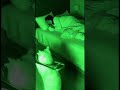 POV: Your cat's secret night job caught on camera 🎵🐱 #caughtoncamera