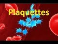 Plaquettes sanguines thrombocytes