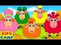 Five cute colorful sheep song  popular nursery rhymes collection by kidscamp