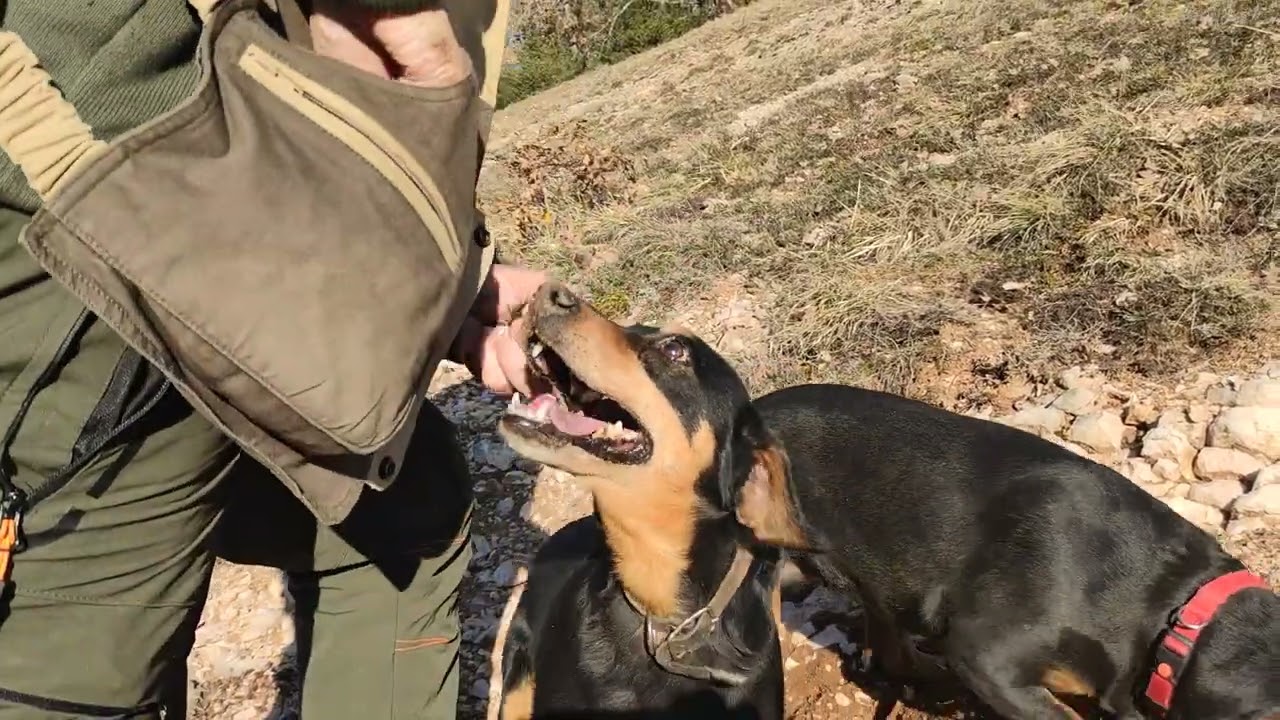 Antonio Guerrini alla ricerca del tartufo nero pregiato con il Grifo Nero Valnerino