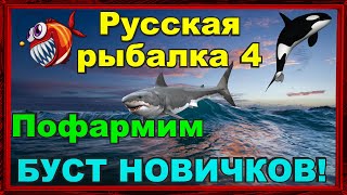 Русская Рыбалка 4 *🚨Фармим серу🚨 + 🚨БУСТИМ НОВИЧКОВ!🚨*