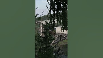 Logging Out At The Worst Time In DayZ