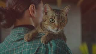 Feline Frenzy: Incredible Cat Facts You Never Knew!
