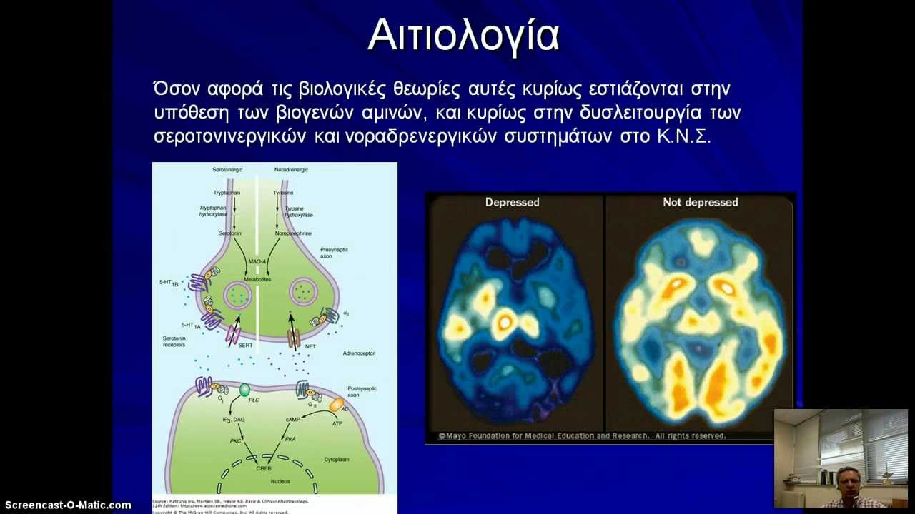 Η κατάθλιψη στους νέους - Πέτρος Σκαπινάκης