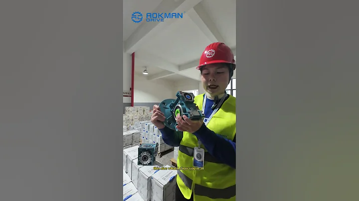 AOKMAN Factory | RV Series Worm Gear #gearbox #fyp #wormgear #reducer #mixer #workshop