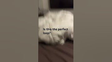 The perfect loop doesn’t exi-