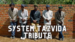Anodyiwa Haautare - System Tazvida [Tribube Video]