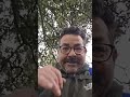 Espárragos trigueros Extremadura