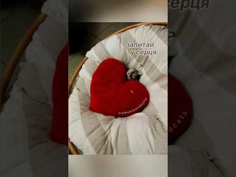 ВІА КОБЗА Запитай у серця