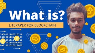 What Is Litepaper For Blockchain Project | Part 1