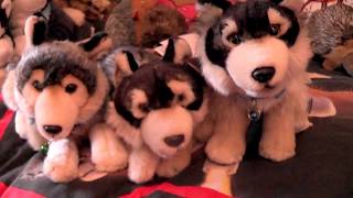 Package 12 inch laying down  living Nature wolf plush