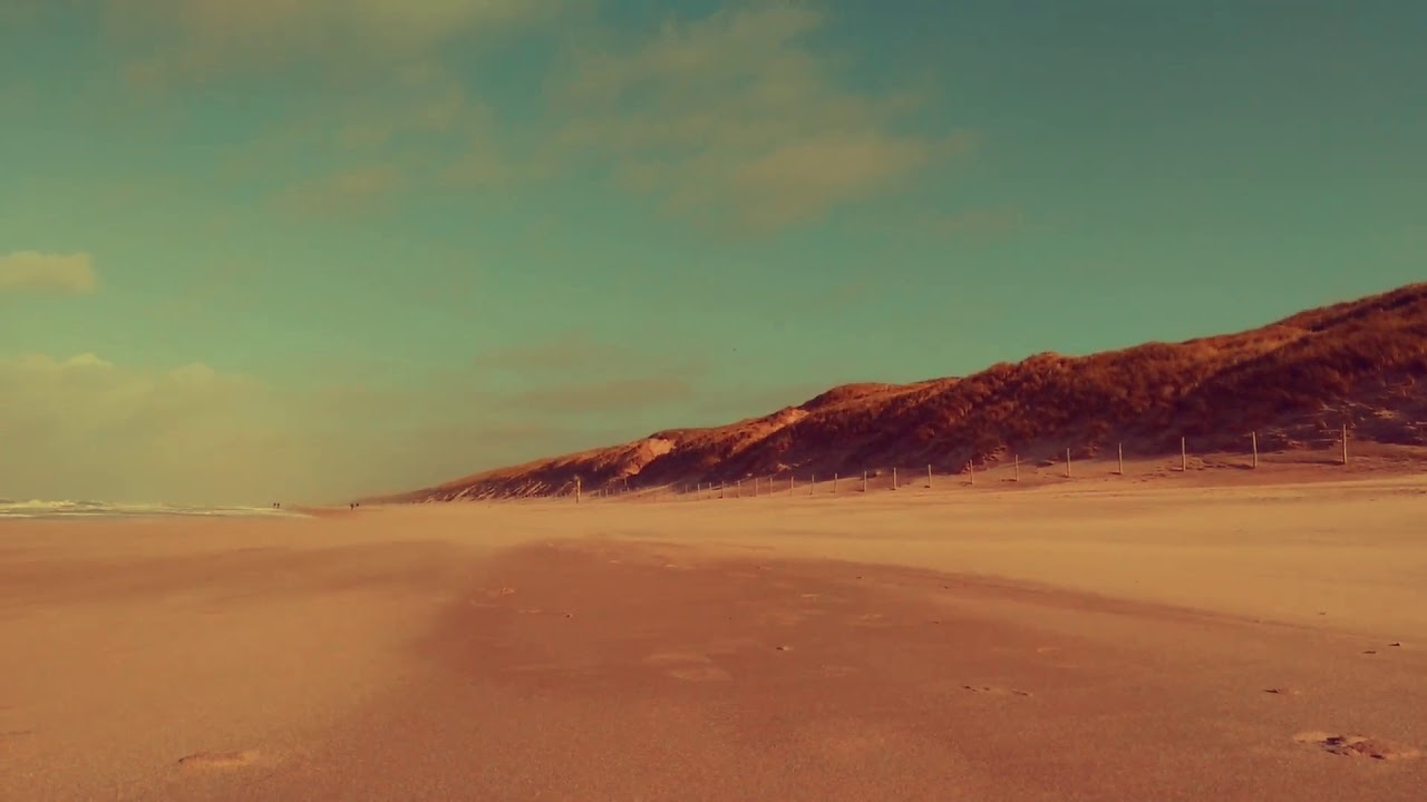 Official Video ROOTS album 