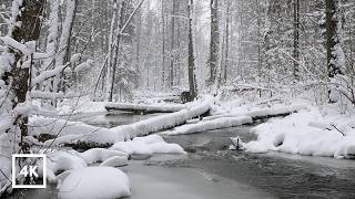 Soft Snowfall Over a Winter River | Natural Ambience screenshot 3