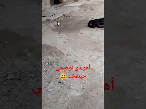 اكسبلور أهو دى لوصحي حينفخك