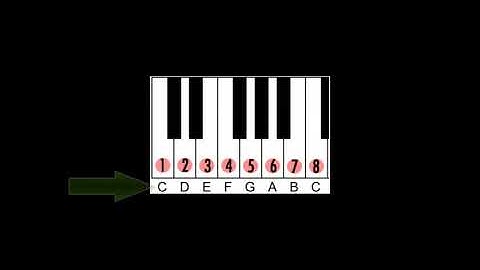 Scale degree numbers