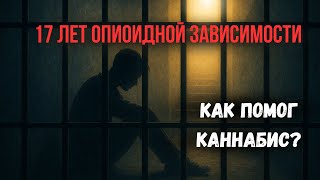 картинка: 17 лет опиоидной зависимости. Как каннабис помог? ЧЕСТНО о тюрьме, передозировках и воле к жизни!