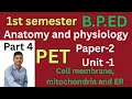 PART-4.Anatomy and physiology paper -2 unit-1 chapter 1.BPED. 1st semester. #physicaleducation. PET.