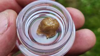 PEANUT BUTTER PIE LIVE ROSIN !!!!!