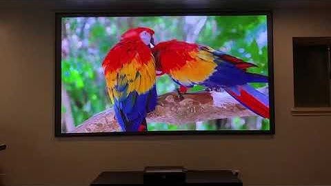 Telon PET Crystal 4k home theater fixed frame ultra short throw ust alr screen ambient light reject