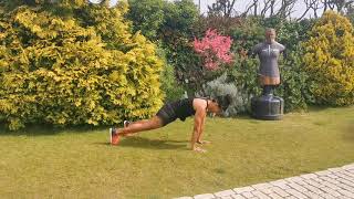 metafit hornet