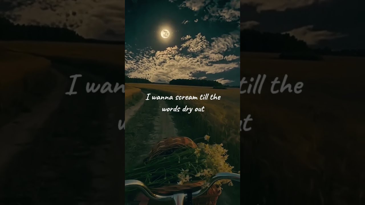 Djkvido People Is Different Music