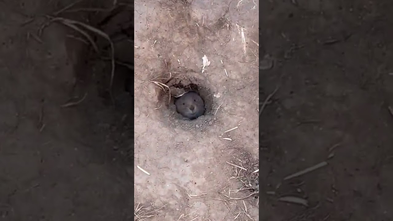 When your upstairs neighbors blast Colorado nonstop 