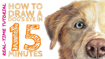 Real time tutorial | How to draw a dog’s eye in coloured pencil in 15 minutes
