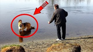 Собака тянет отца к озеру. То, что он увидел в воде, чуть не свело его с ума!