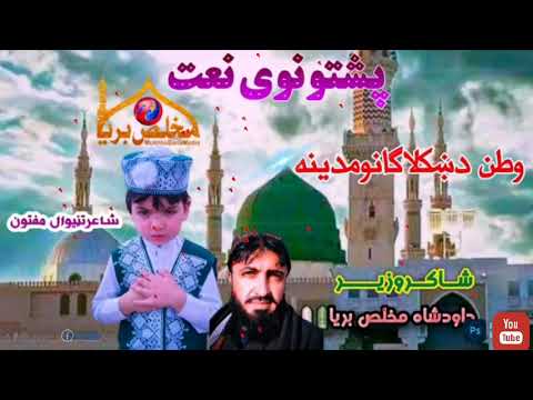 Pashto Viralvideo Naat 2025 پشتونعت داودشاه مخلص شاکروزیر مدینه وطن ده ښکلاګن User Su3pe8gi3o