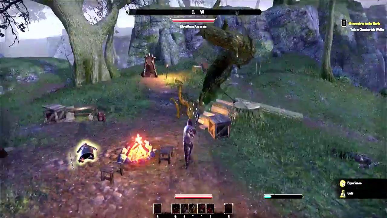 ESO • Dual Wield (DW) vs TwoHanded (2H) • Gameplay HD YouTube