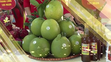 Săn sàng cho chương trình duc lịch về miền quả ngọt năm 2022