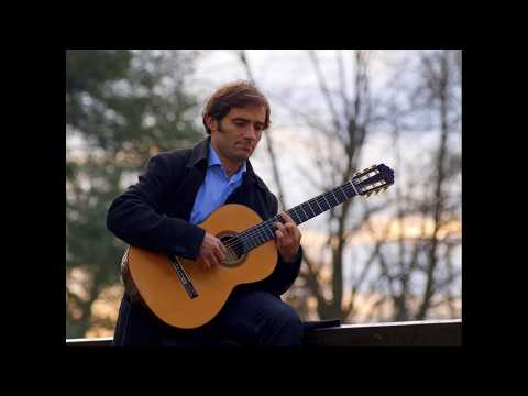 Viktor Vidović - BACH & CHOPIN - New Album Extracts