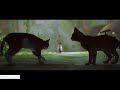 Let's Play / STRAY (MIAOUUUU) redif du SAMEDI 2026