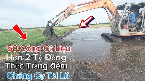 Hơn 2 Tỷ Đồng 50 Công Củ Kiệu Bị Lũ Lụt Đe Dọa Sấp Nhấn Chìm Huyết Tâm Bão Dệ l Dũng Miền Tây 