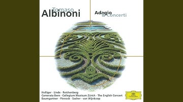 Albinoni: Oboe Concerto in B-Flat Major, Op. 7 No. 3: I. Allegro
