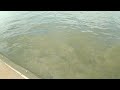 Clear water at the louisville waterfront