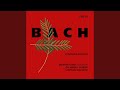 Miniature de la vidéo de la chanson Johannes-Passion, Bwv 245 (1725 Version): Christe, Du Lamm Gottes: Choral