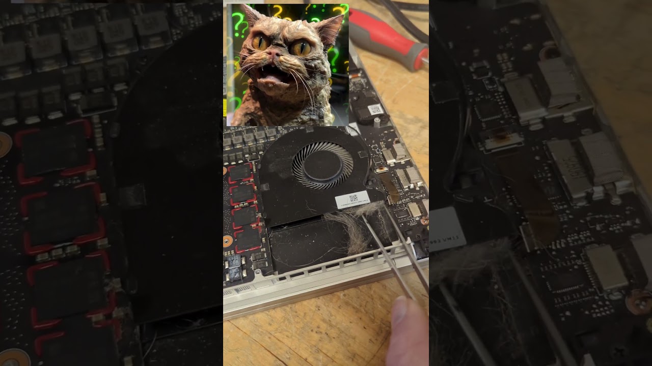 Fuzzy fans fail! Cat fur has clogged this customers laptop fans!