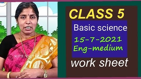 first Bell class 5 Basic science/work sheet/15/7/2021 English medium