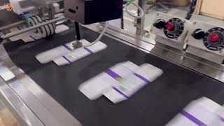 Variable Data Printing on Packaging Cartons with Camera Verification (with feeder + conveyor)