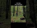 Underground cave to escape from foxes | #apexwithhamim