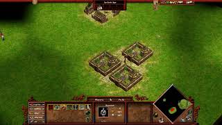 AOM pathfinding bug - Units stuck between 2 buildings