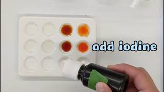 SNC1P Mystery Powder Lab
