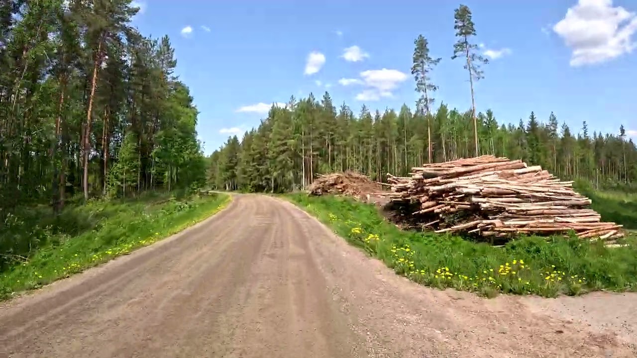 Maaseutumeditaatiota, osa 2 - Siikaisten Leppijärventie