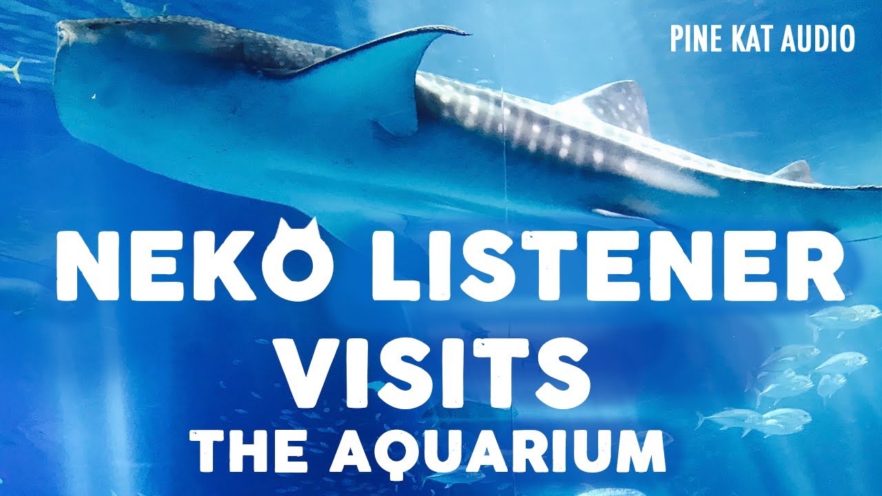 [F4A] Neko Listener Visits Aquarium [playful][sweet]