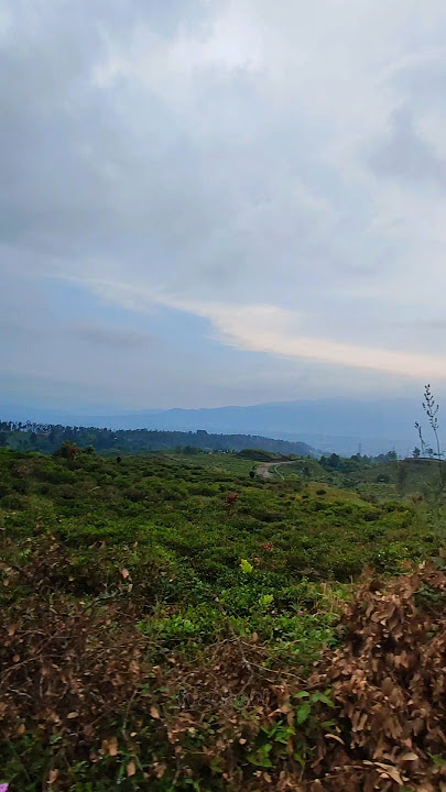 Download lagu I Don't Want to Miss a Thing - Aerosmith (Acoustic Cover by Dimas Senopati) - Shorts Cover Song