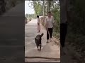 #new #viral #shortvideo