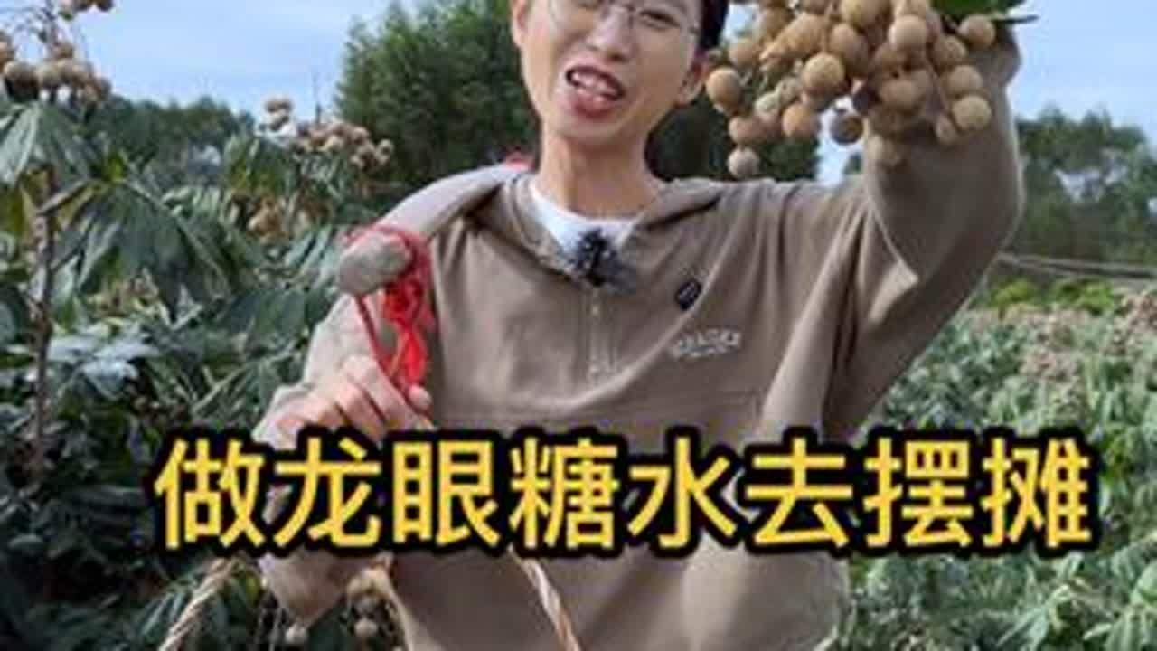 今天去山里摘龙眼，做成龙眼糖水去摆摊。 摆摊的一天又是温暖且美好的一天。