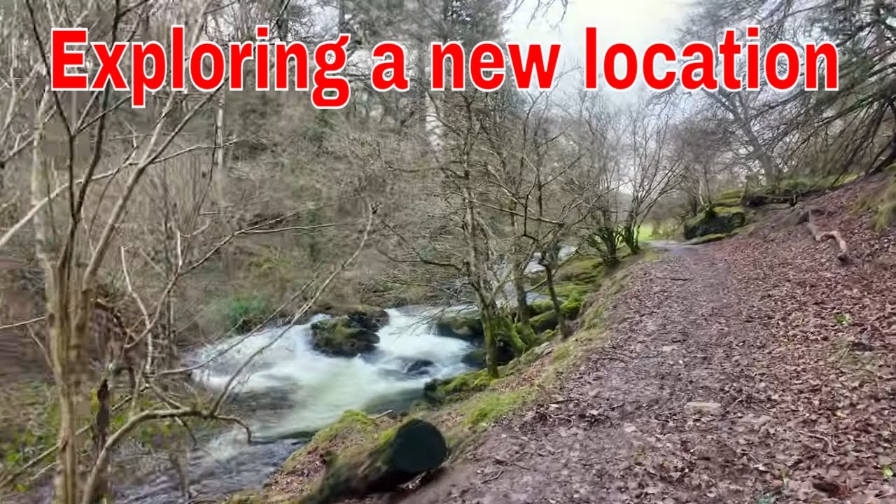 Новое место для фотосъемки птиц | Тишина в поле